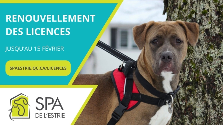 Renouvellement de licences 2024