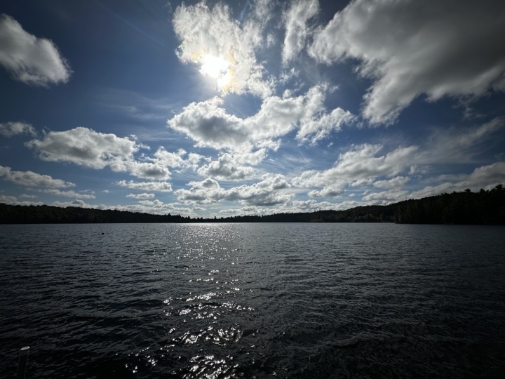 Rapport sur l'état de nos bandes riveraines