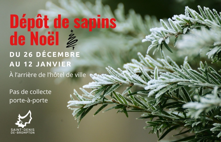 Collecte de sapins de Noël