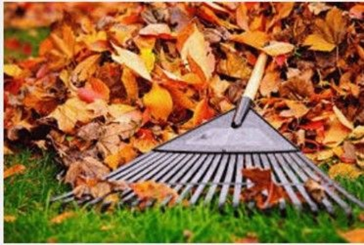 Collectes des feuilles d'automne : changement des dates