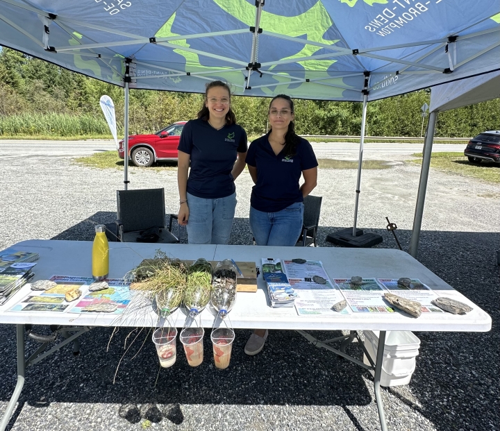 Bandes riveraines : leur importance en un test simple