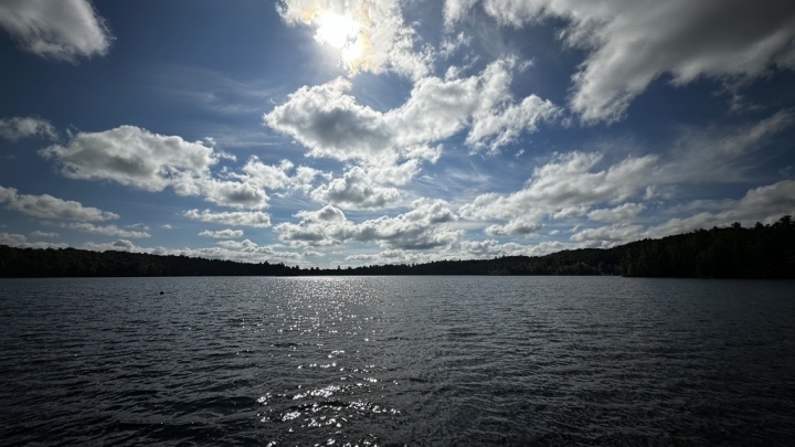 Rapport sur l'état de nos bandes riveraines