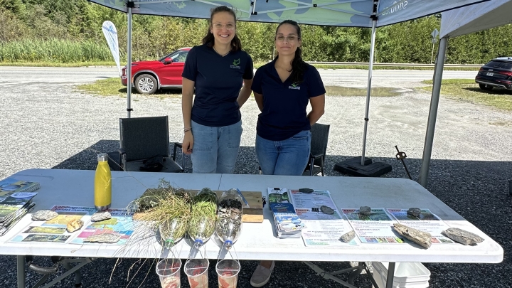 Bandes riveraines : leur importance en un test simple