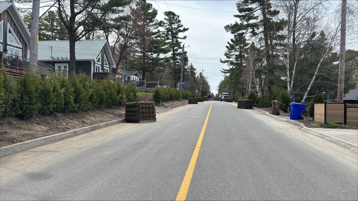 Travaux de pavage à la Côte de l'artiste